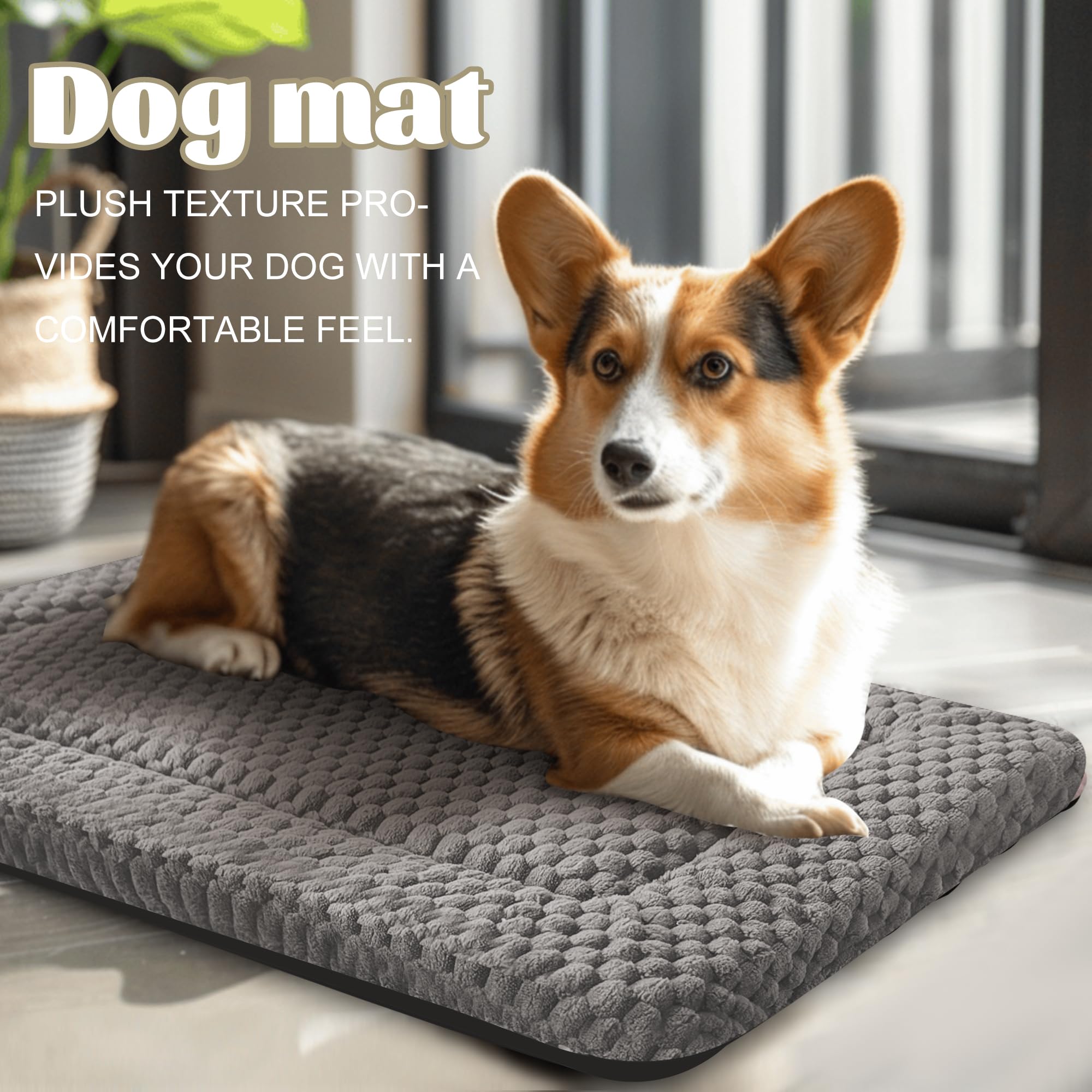 pobopobo gros plan peluche douce, maintien chaud et câlin pour chien ou chat