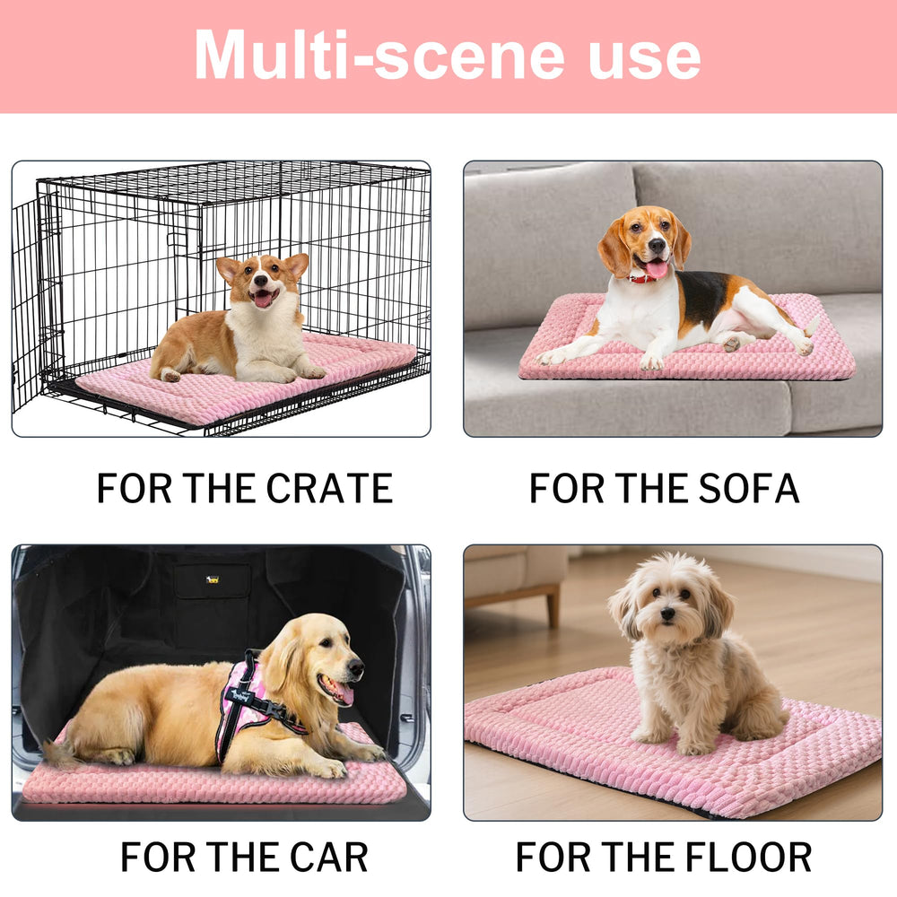 pobopobo tapis en salon animal détendu bénéficiant d'un espace cosy