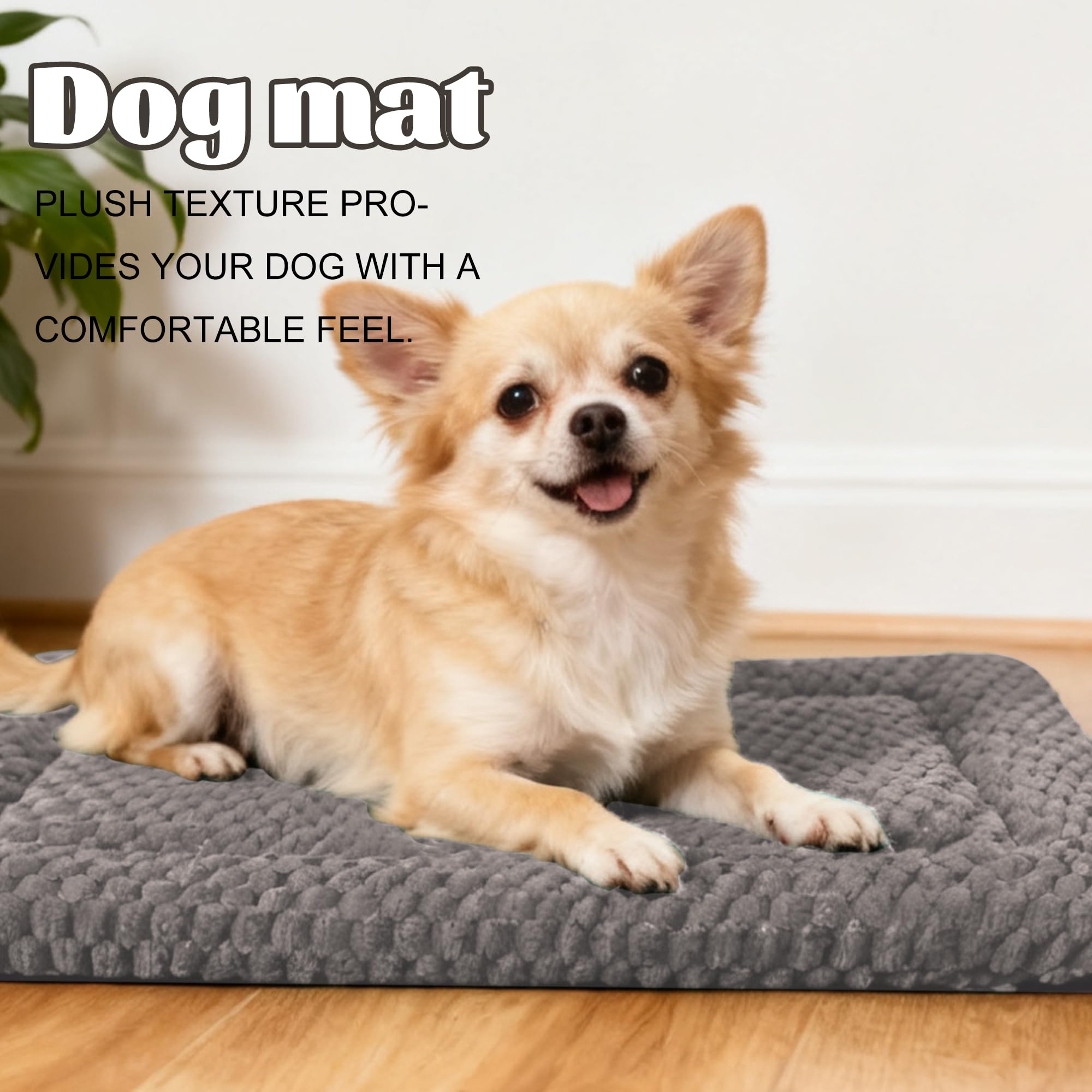 pobopobo gros plan peluche montrant douceur et chaleur