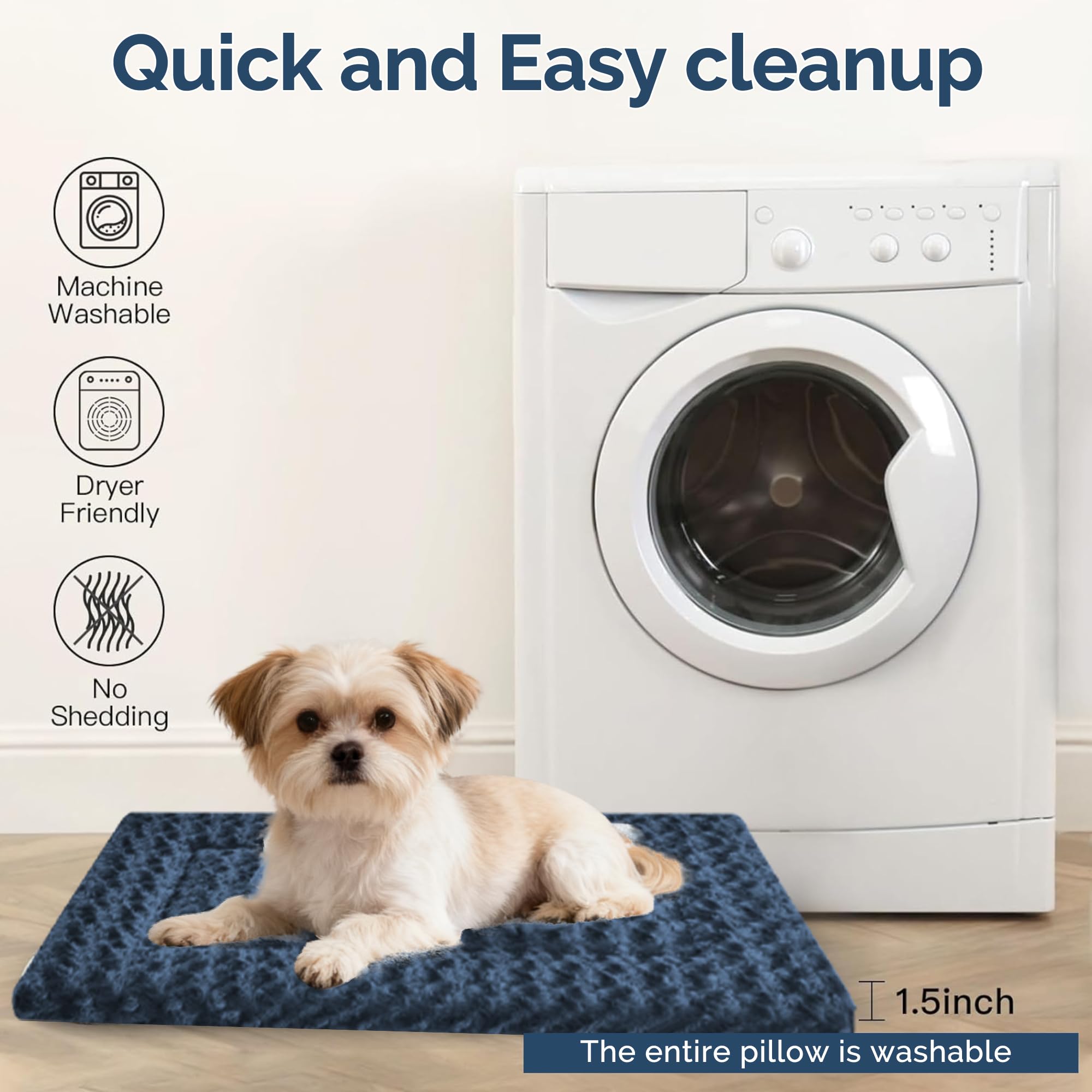pobopobo comparaison taille montrant adaptation aux petits chiens