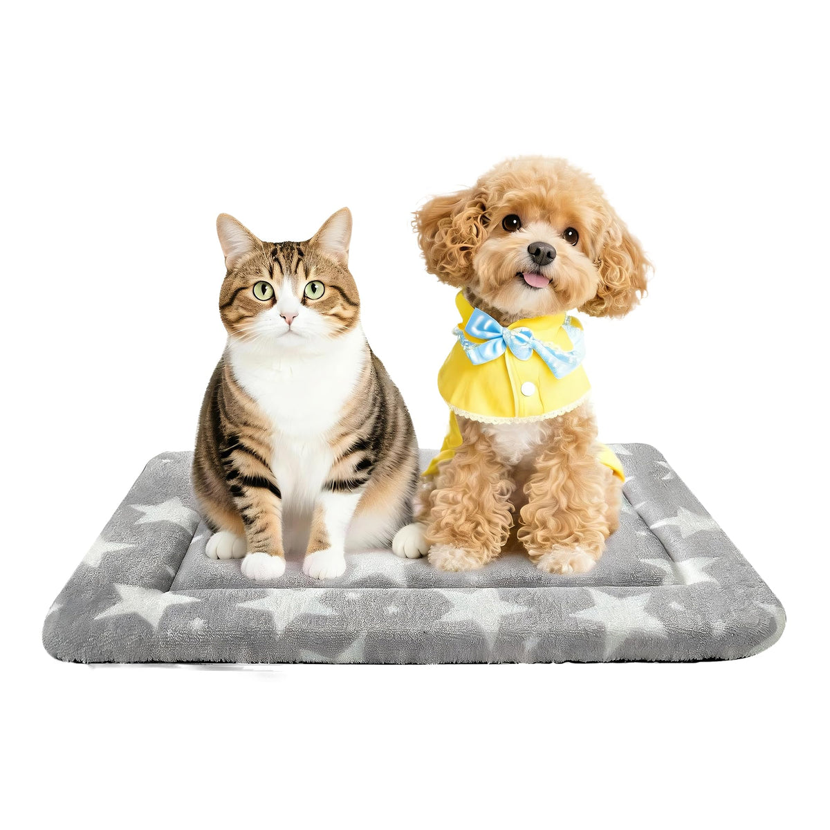 pobopobo vue avant du tapis montrant motif Big&Little Stars et confort