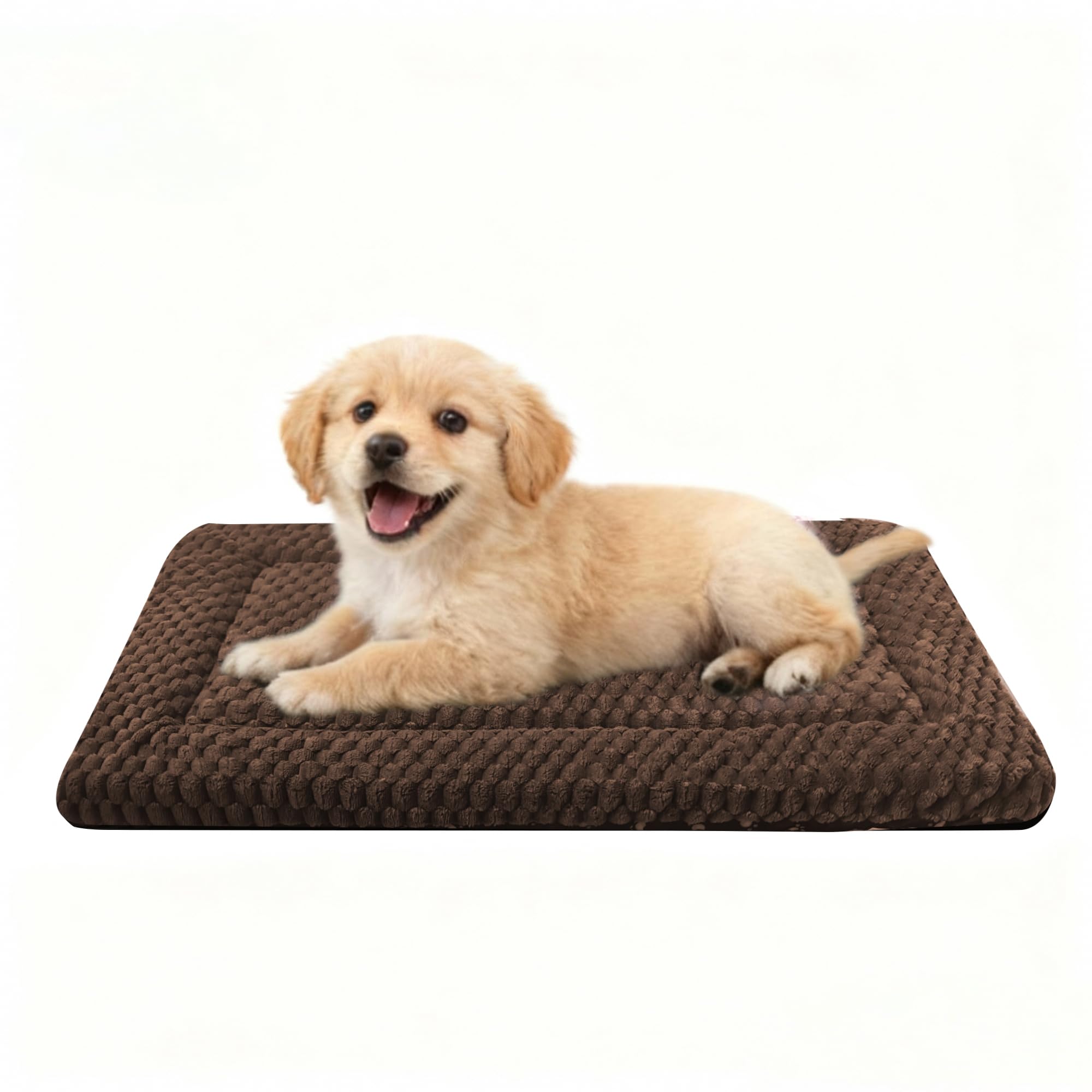 pobopobo face peluche montrant douceur et confort