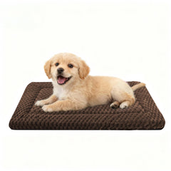 pobopobo face peluche montrant douceur et confort