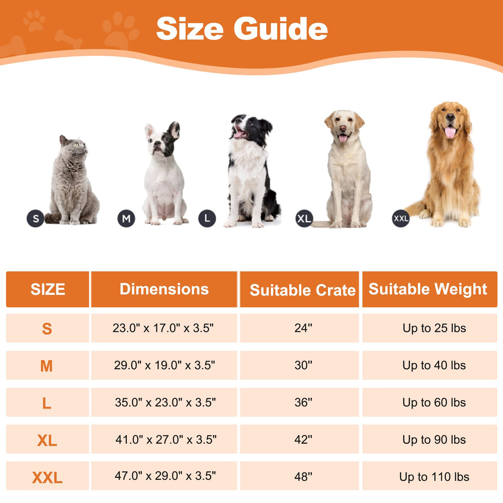 POCBLUE lit à côté d'un chien pour comparaison de taille