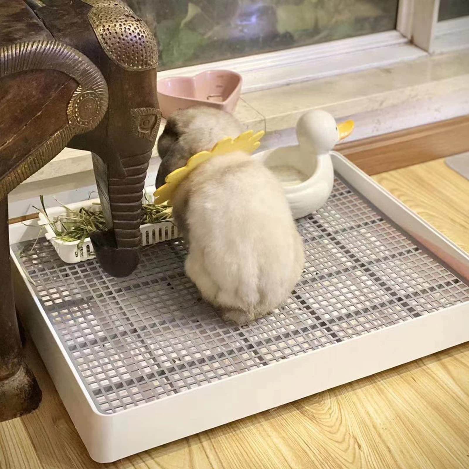 PODOO bac litière angle arrondi et entrée basse pour accès sécurisé