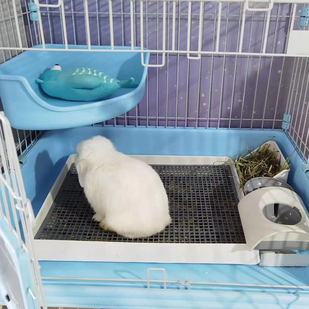 PODOO comparaison taille montrant l'espace pour lapin nain et confort