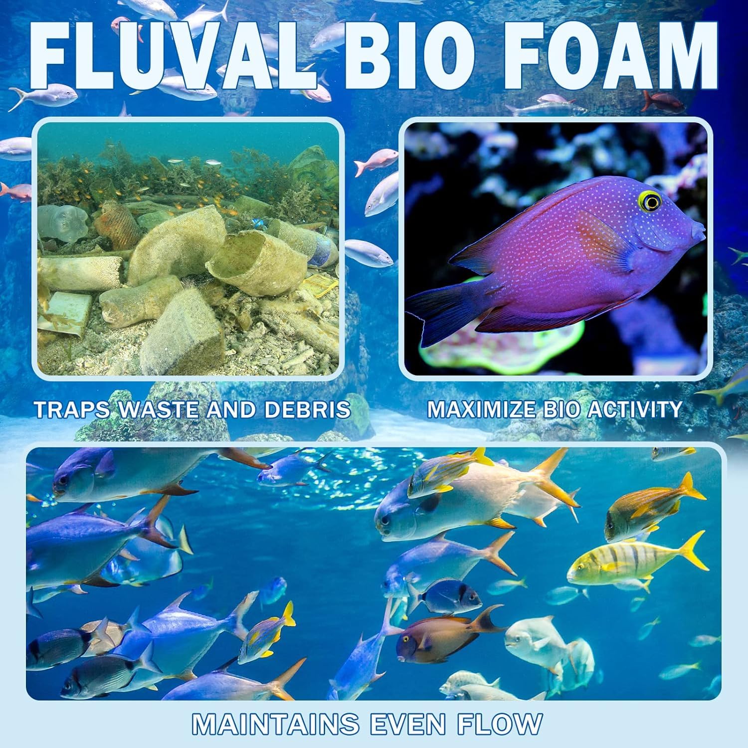 Podoy mousse en situation de vie aquarium gardant eau claire