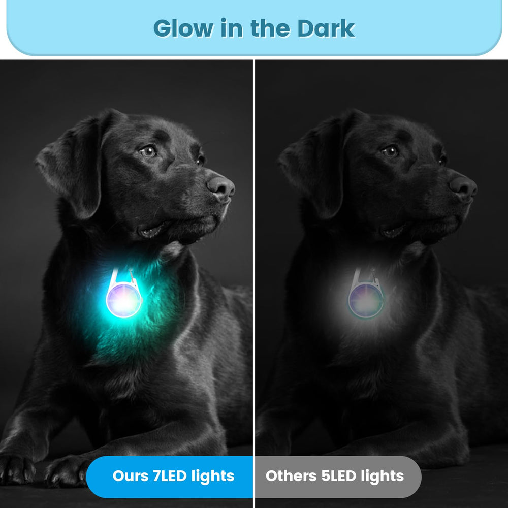 POEEY lampe clip fixée sur un collier de chien, facilite repérage nocturne