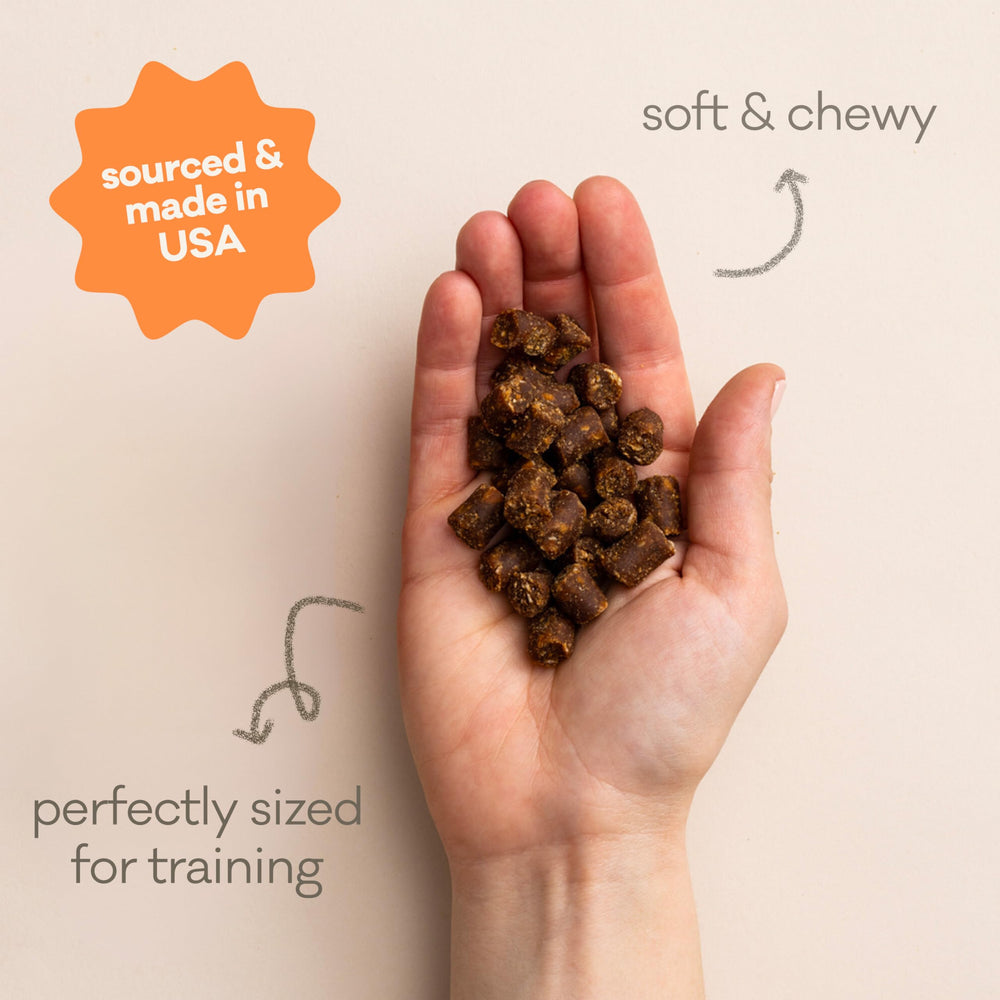 Polkadog nuggets dans la main montrant la petite taille pratique