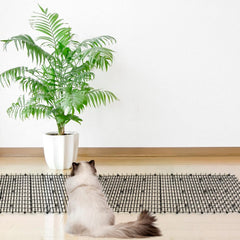 pomeat gros plan pointes montrant texture dissuasive et sécurité