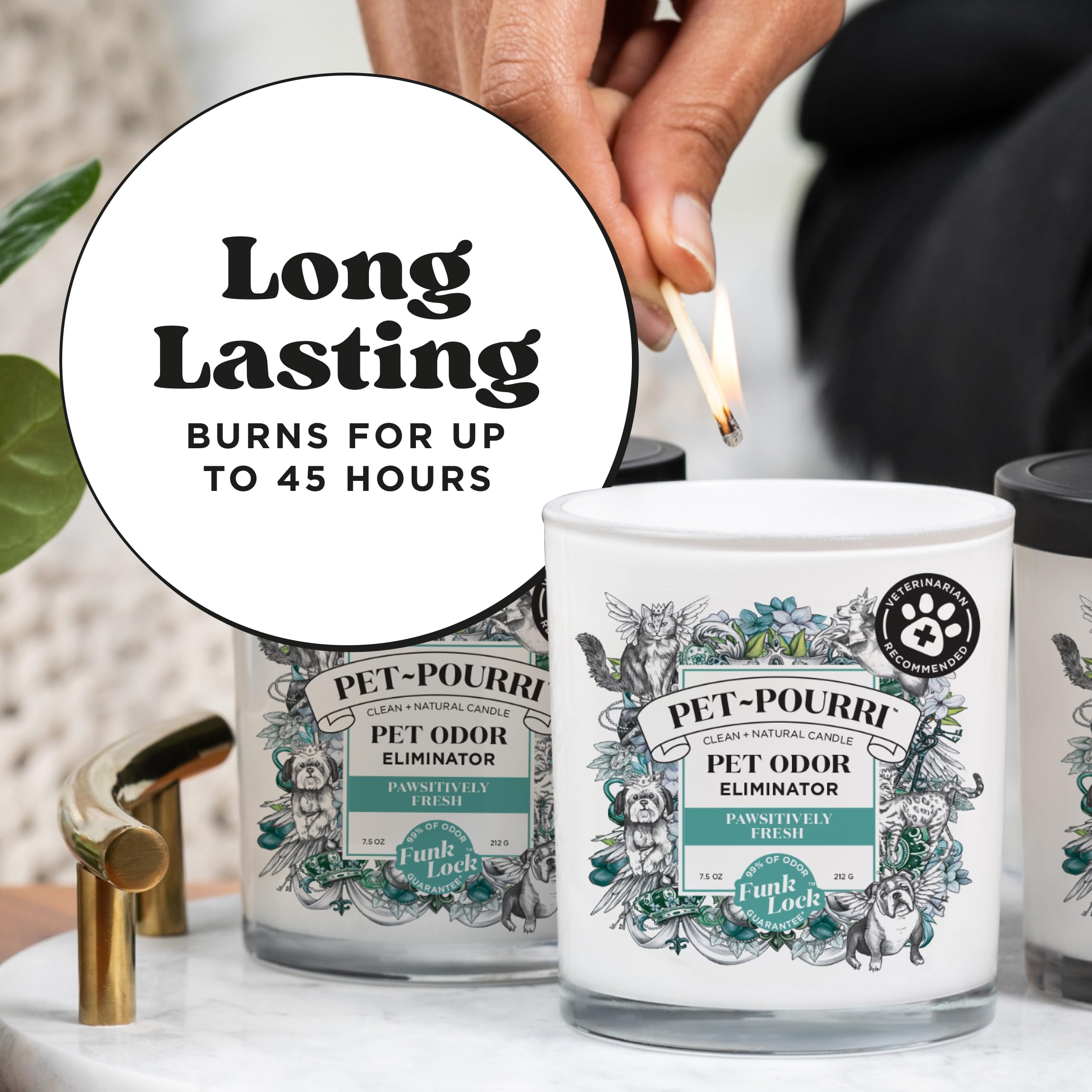 Poo-Pourri bougie à côté de livres et plante pour atmosphère accueillante