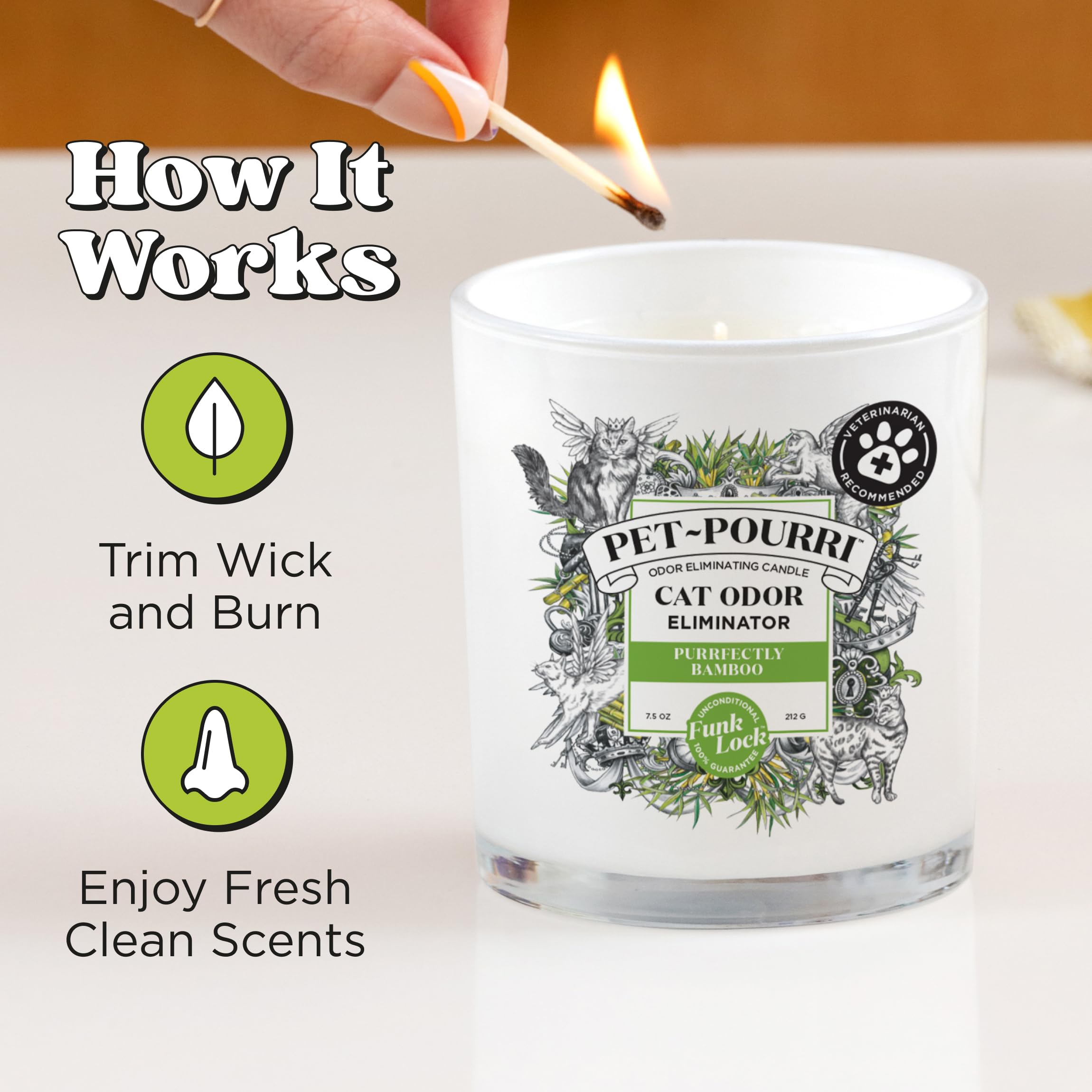 Poo-Pourri bougie et chat dans salon crée ambiance fraîche et confortable