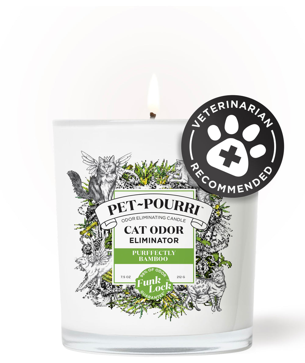 Poo-Pourri gros plan cire et mèche illustrant combustion propre et longue durée