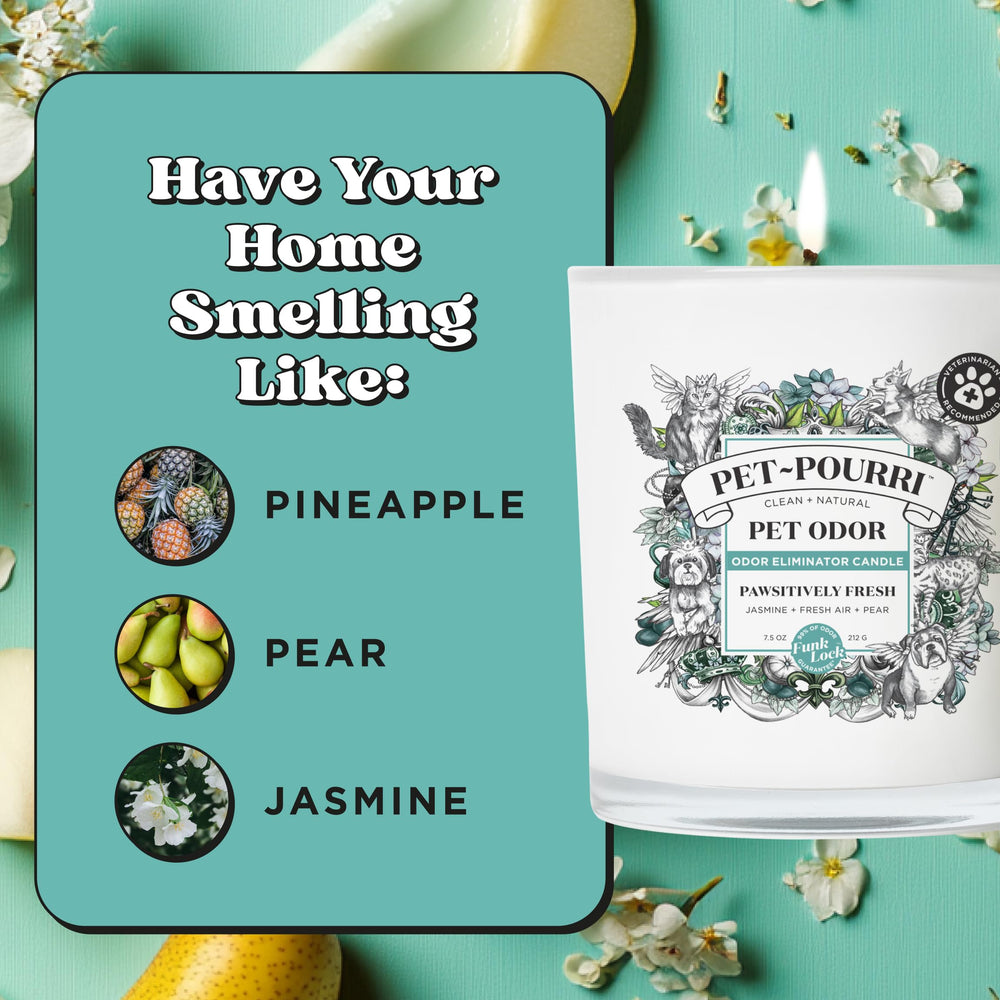 Poo-Pourri bougie gros plan parfum ananas jasmin poire délicat