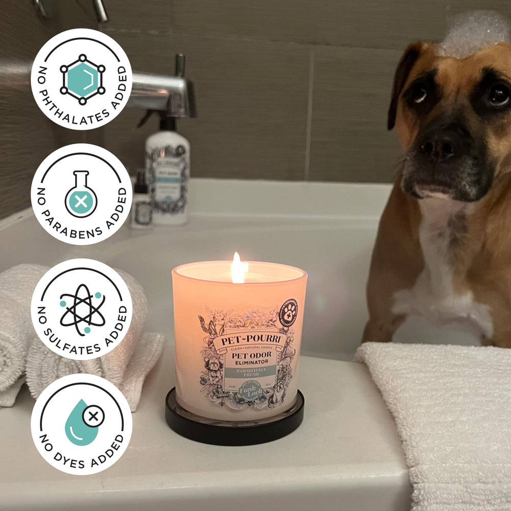 Poo-Pourri bougie tenue en main pour montrer taille et portabilité