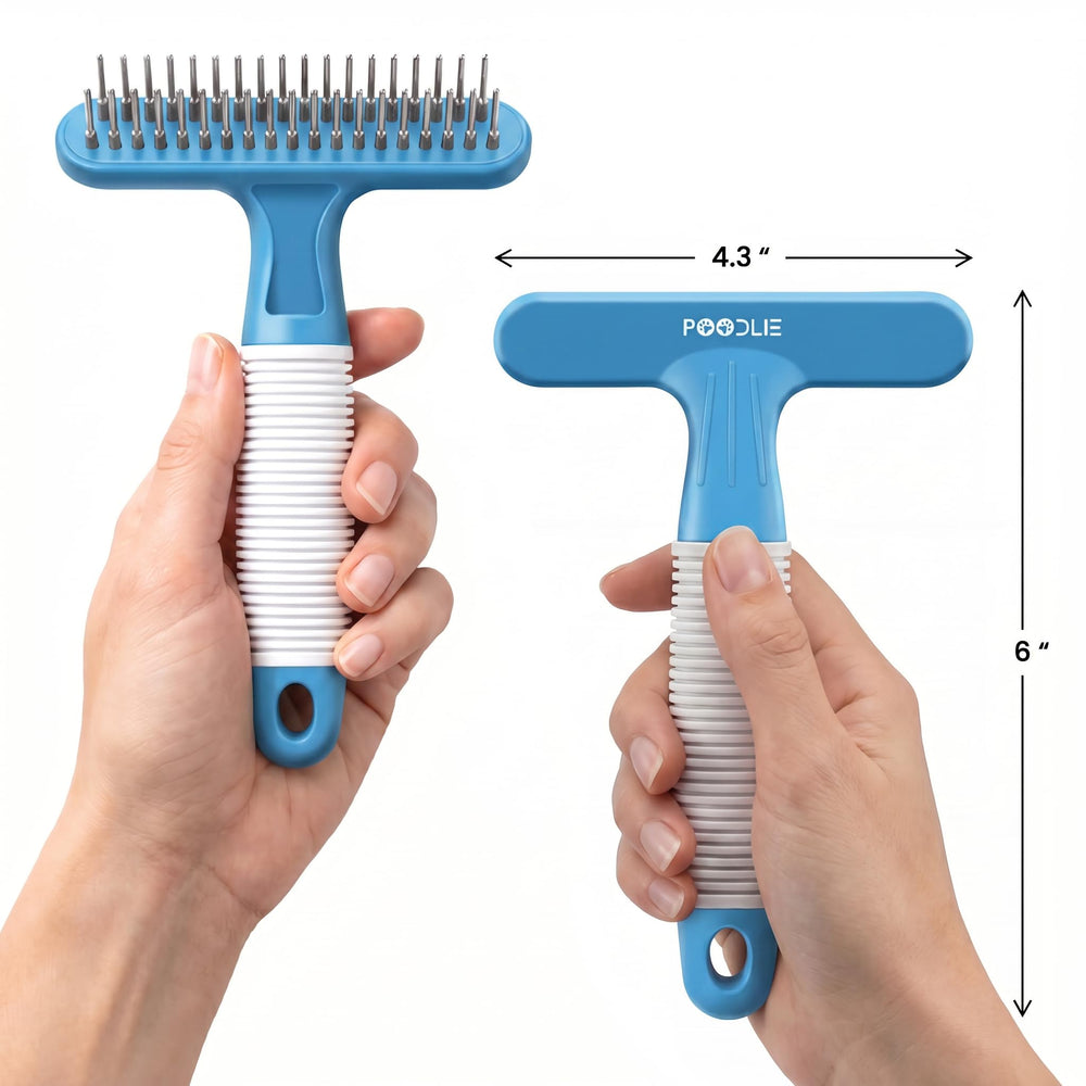 POODLIE avant et après toilettage montrant moins de poils emmêlés