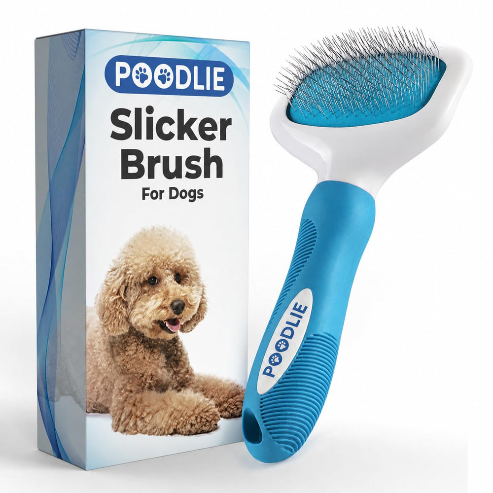 POODLIE brosse face montrant picots pour éliminer poils morts