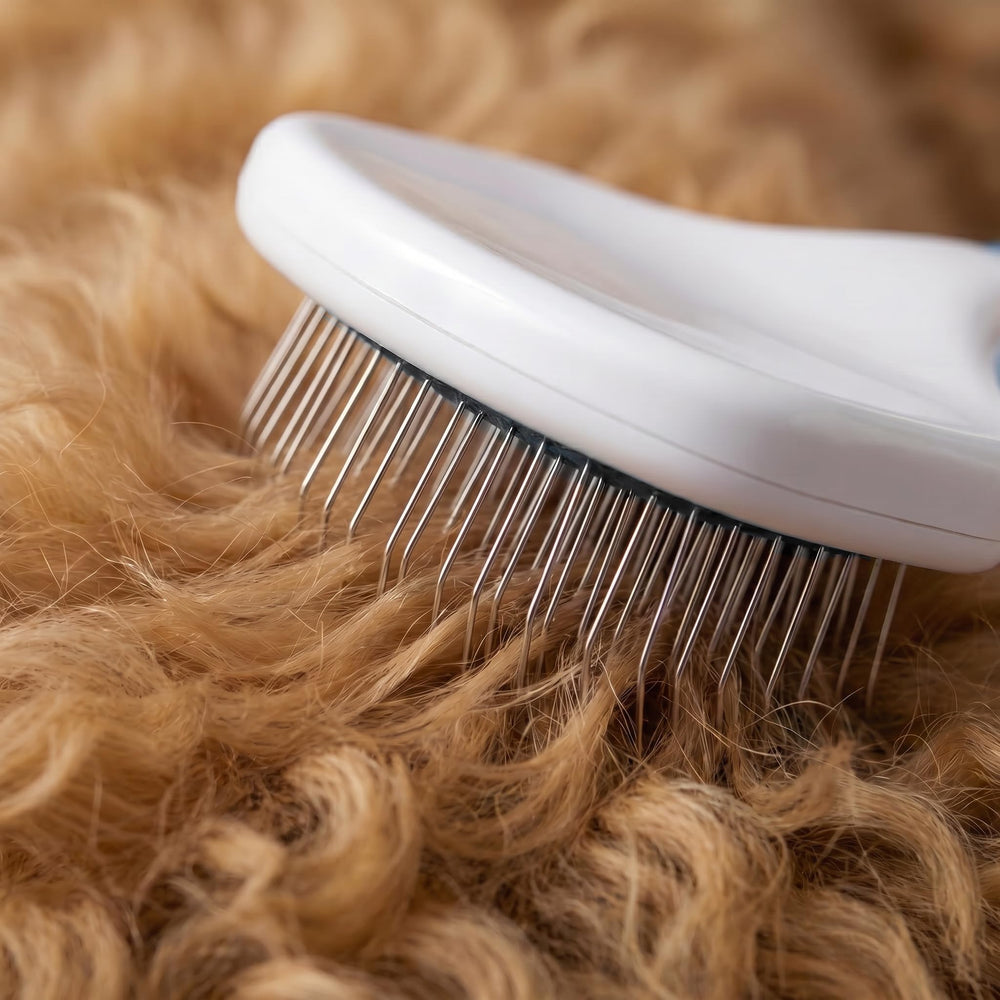 POODLIE brosse matériaux résistants offrant durabilité et qualité