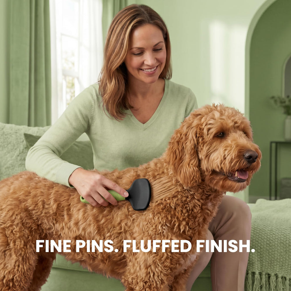 POODLIE brosse utilisée sur un goldendoodle réduit les nœuds
