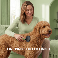 POODLIE brosse utilisée sur un goldendoodle réduit les nœuds