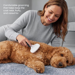 POODLIE brosse utilisée sur chien réduisant les poils visibles