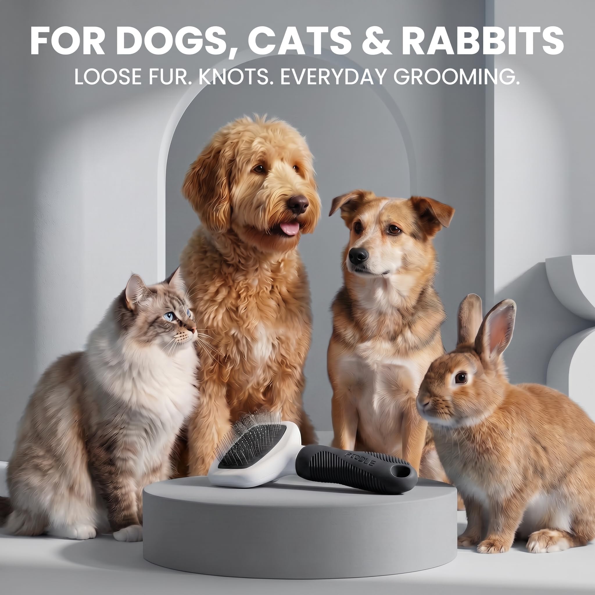 POODLIE brosse employée sur lapin favorisant un toilettage doux