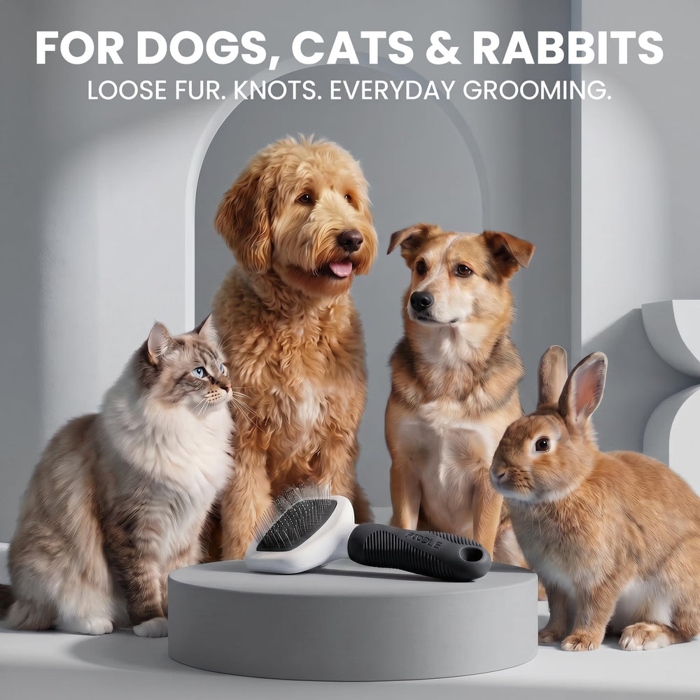 POODLIE brosse employée sur lapin favorisant un toilettage doux