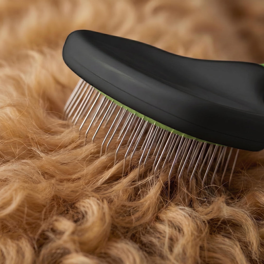 POODLIE emballage vert illustrant contenu et instructions simples