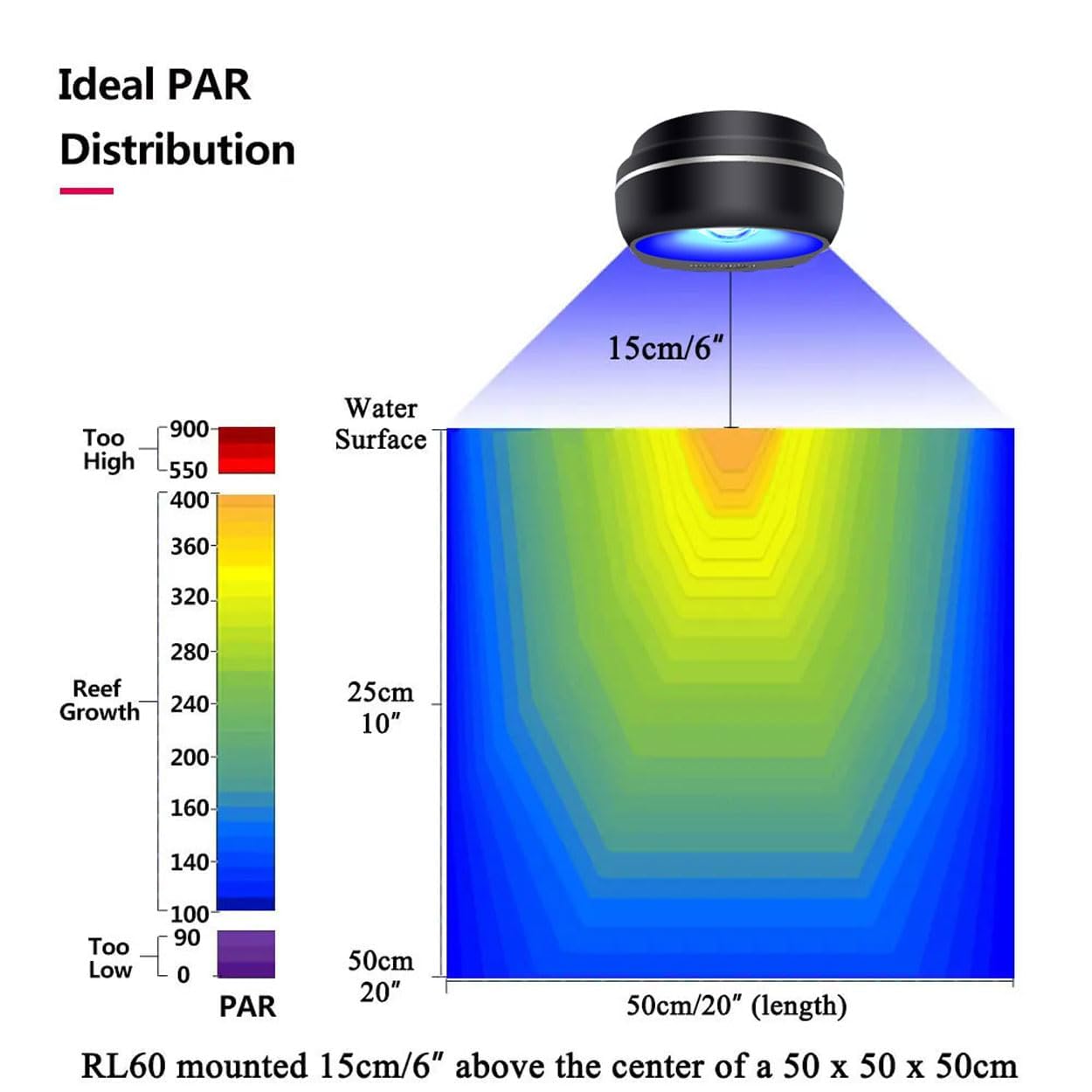 PopBloom RL60 éclairant un nano-récif avec coraux LPS et poissons colorés