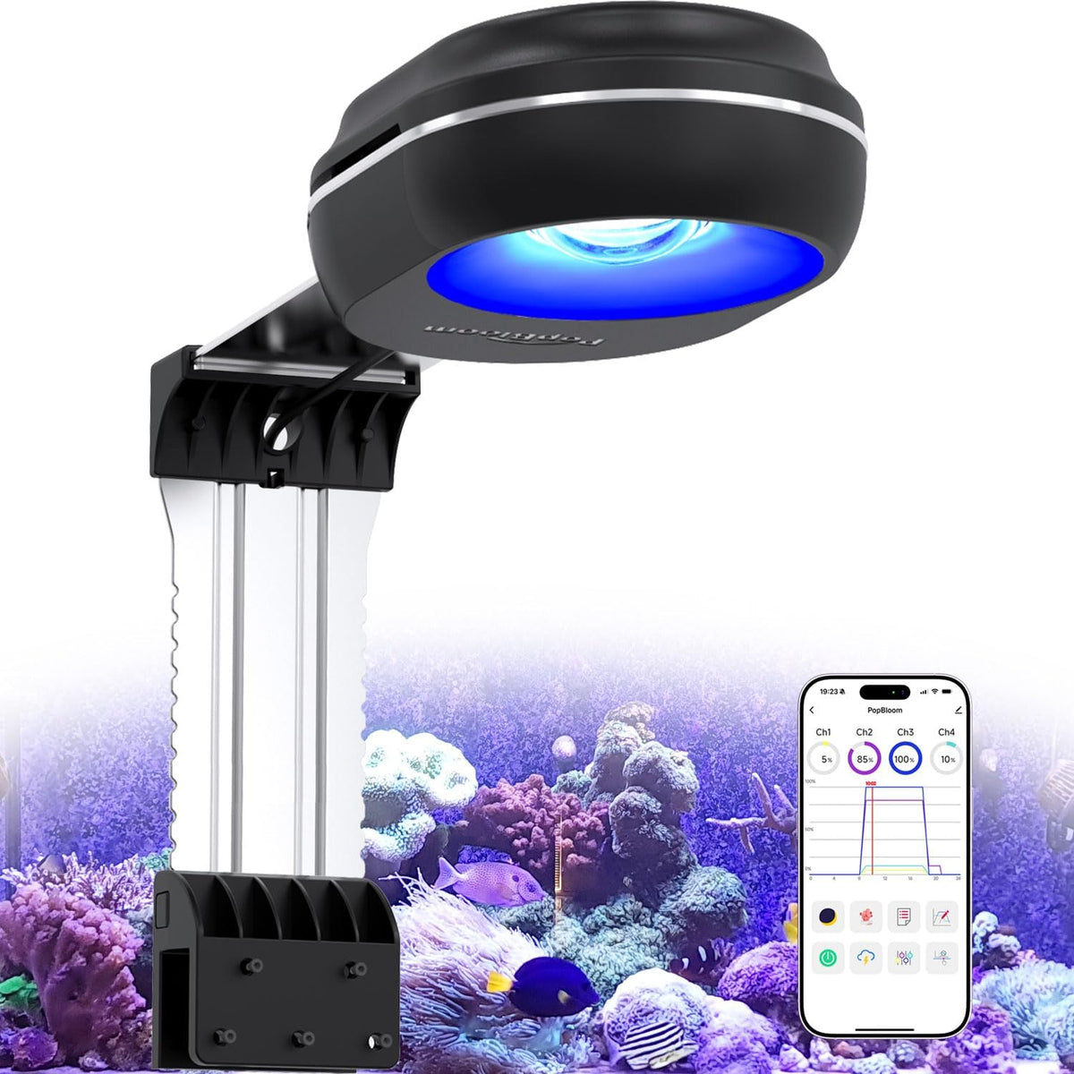PopBloom RL60 face avant montrant le profil moderne et la distribution lumineuse