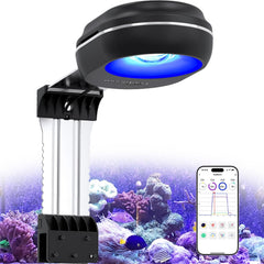 PopBloom RL60 face avant montrant le profil moderne et la distribution lumineuse