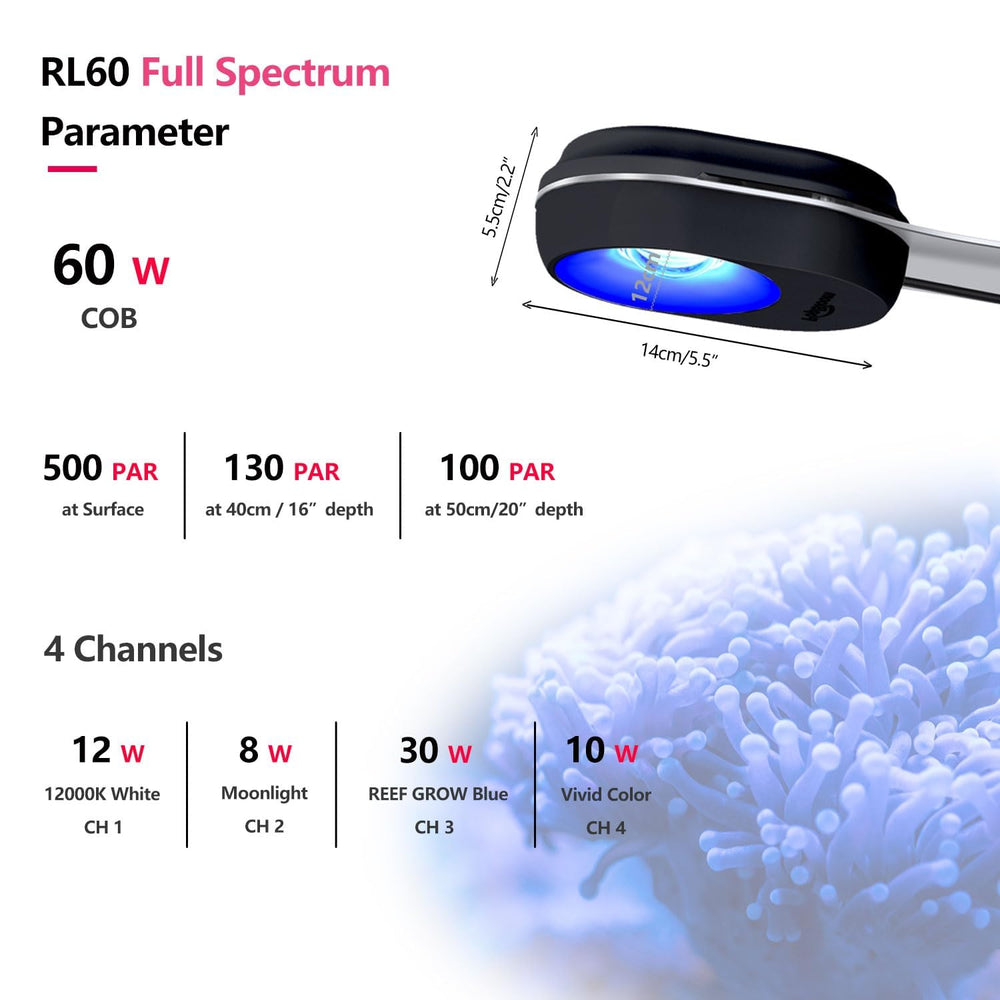 PopBloom RL60 lentille en verre détaillée offrant une illumination homogène