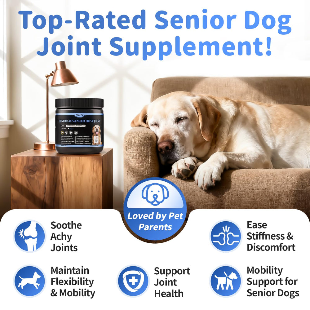 POPPAW gros plan chew texture tendre aide mastication chez seniors