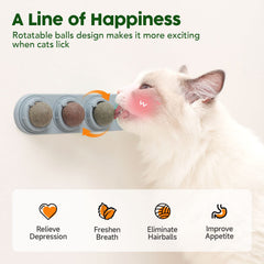 Potaroma balle collée sur mur en usage stimulant activité du chat