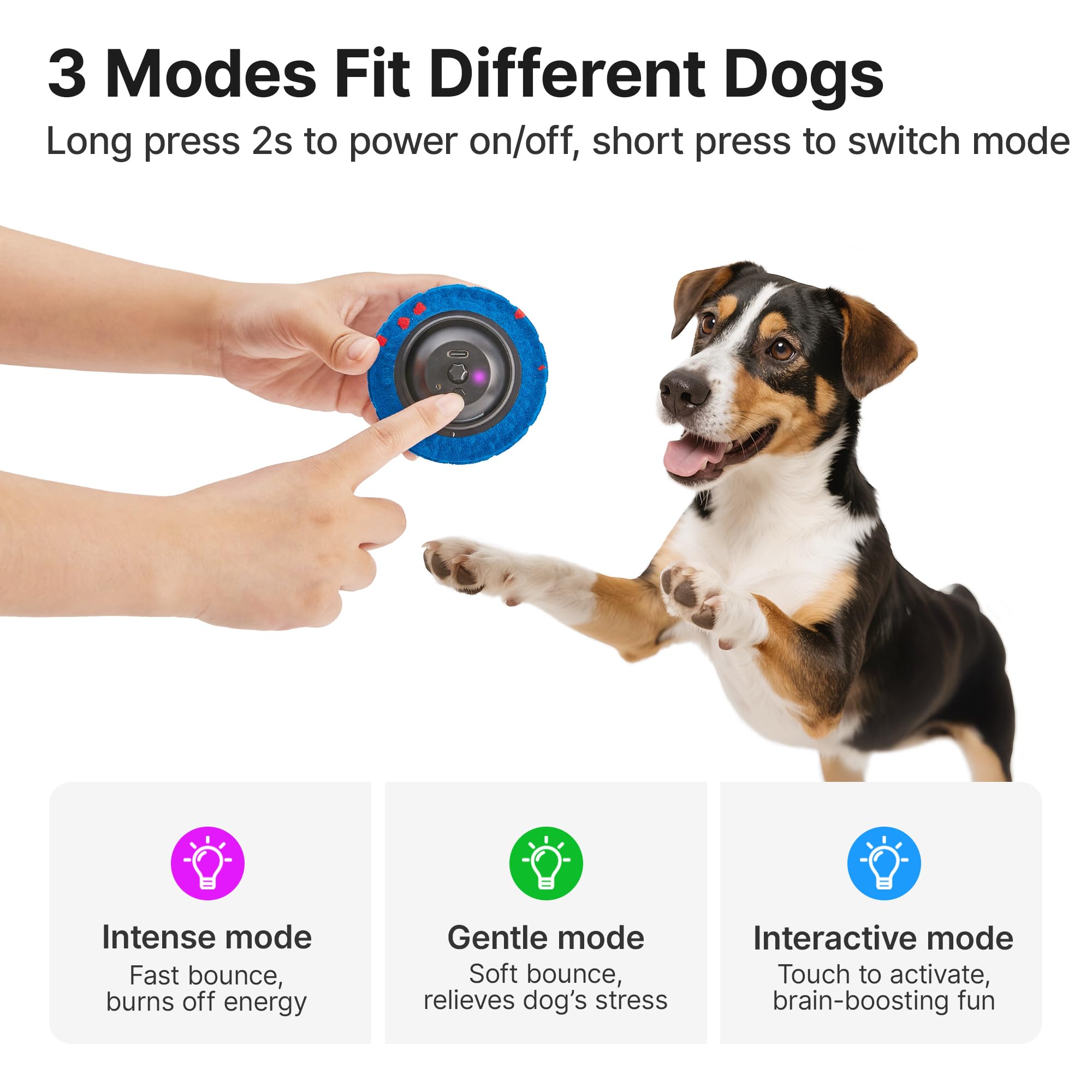 Potaroma comparaison taille montre balle idéale pour chiens moyens