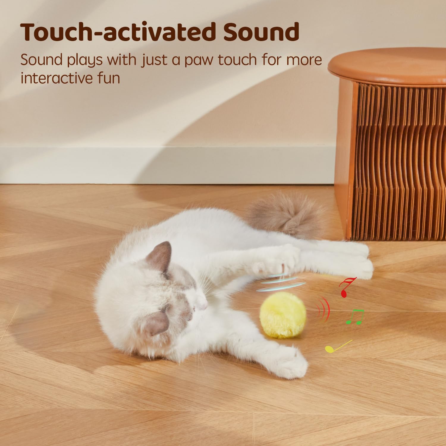 Potaroma balle en usage chat en train de chasser pour exercice actif