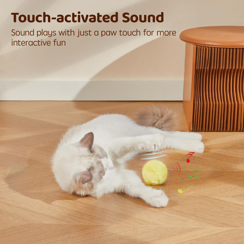 Potaroma balle en usage chat en train de chasser pour exercice actif