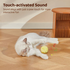 Potaroma balle en usage chat en train de chasser pour exercice actif