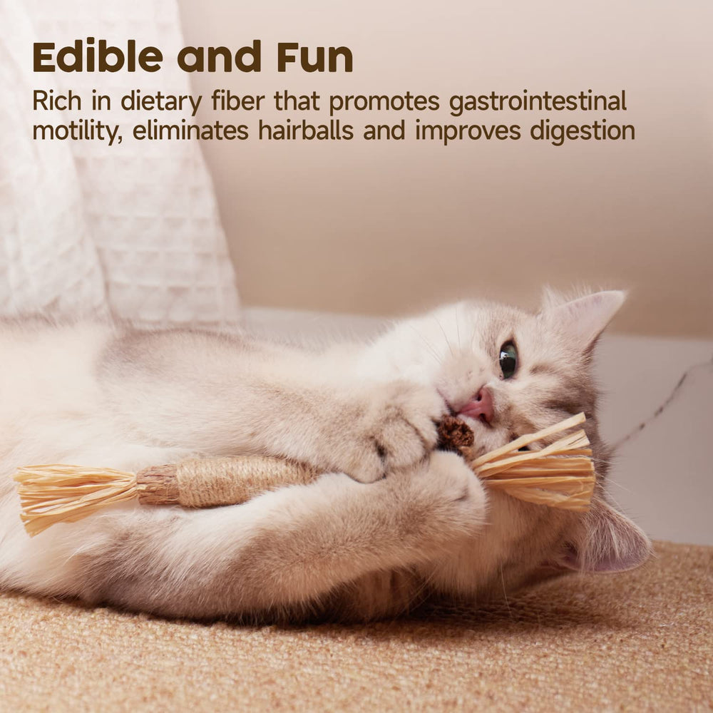 Potaroma bâton en cours d'utilisation par chat pour stimulation active