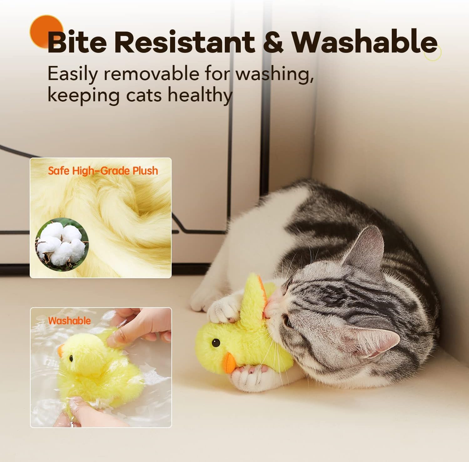 Potaroma canard en action avec chaton encourage activité et chasse