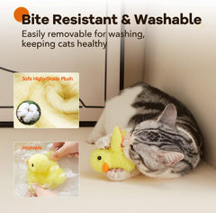 Potaroma canard en action avec chaton encourage activité et chasse