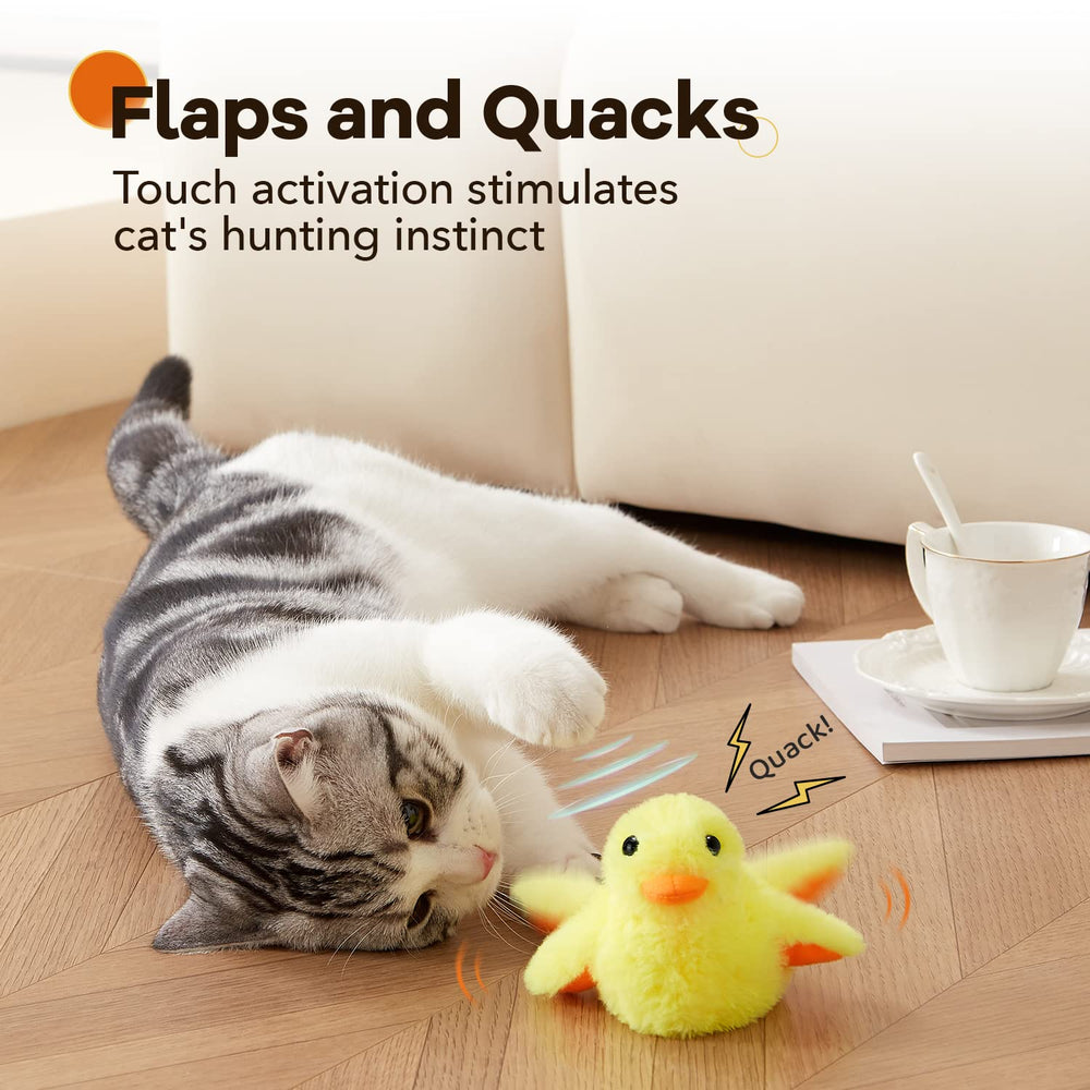 Potaroma gros plan du plumage doux offrant confort et stimulation