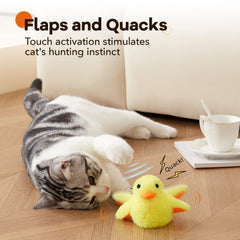 Potaroma gros plan du plumage doux offrant confort et stimulation