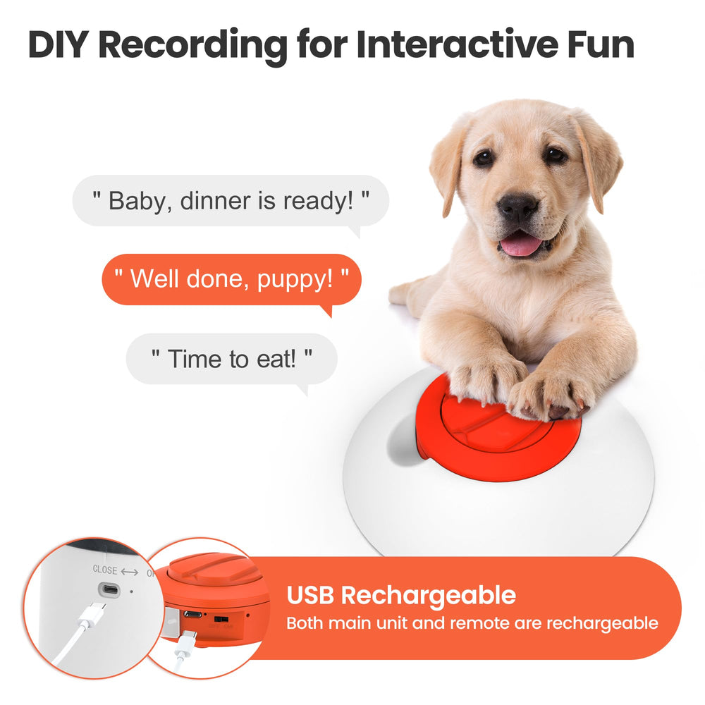 Potaroma chiot en train de jouer et apprendre, favorisant stimulation mentale