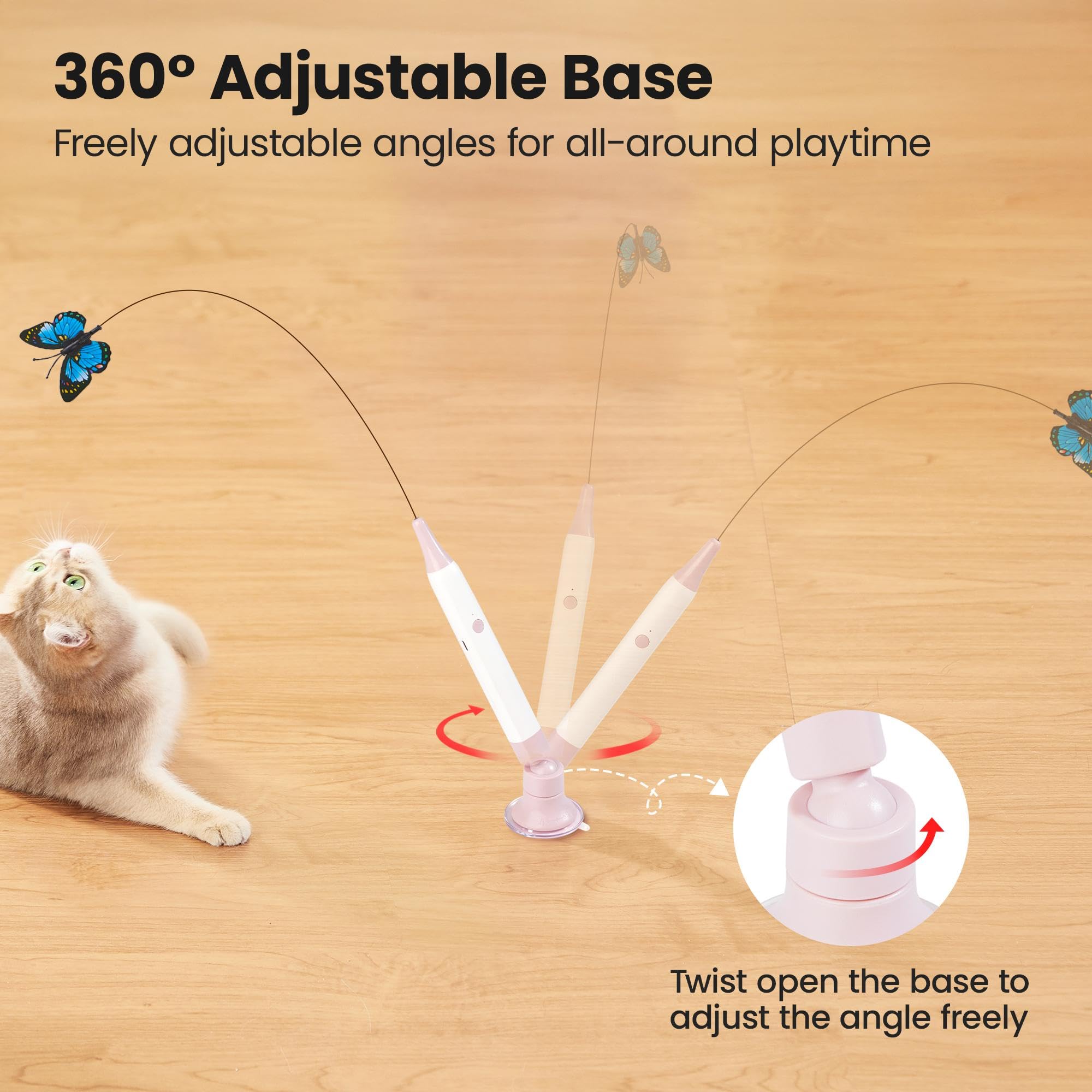 Potaroma comparaison d’échelle avec un chat pour visualiser la taille réelle
