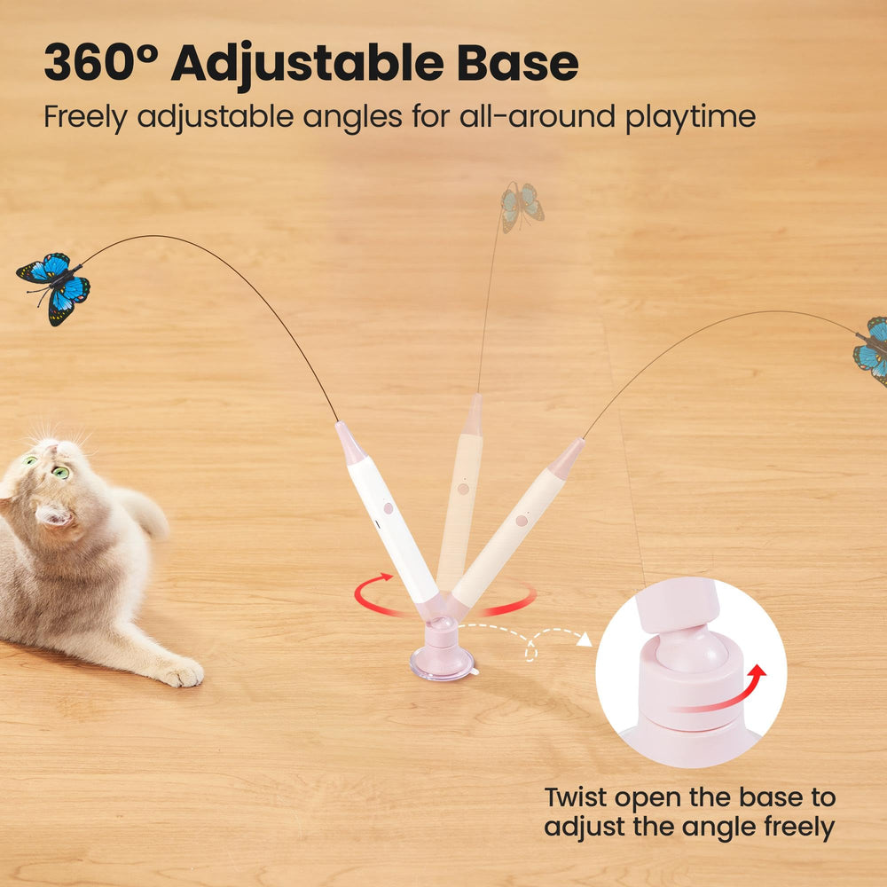 Potaroma comparaison d’échelle avec un chat pour visualiser la taille réelle
