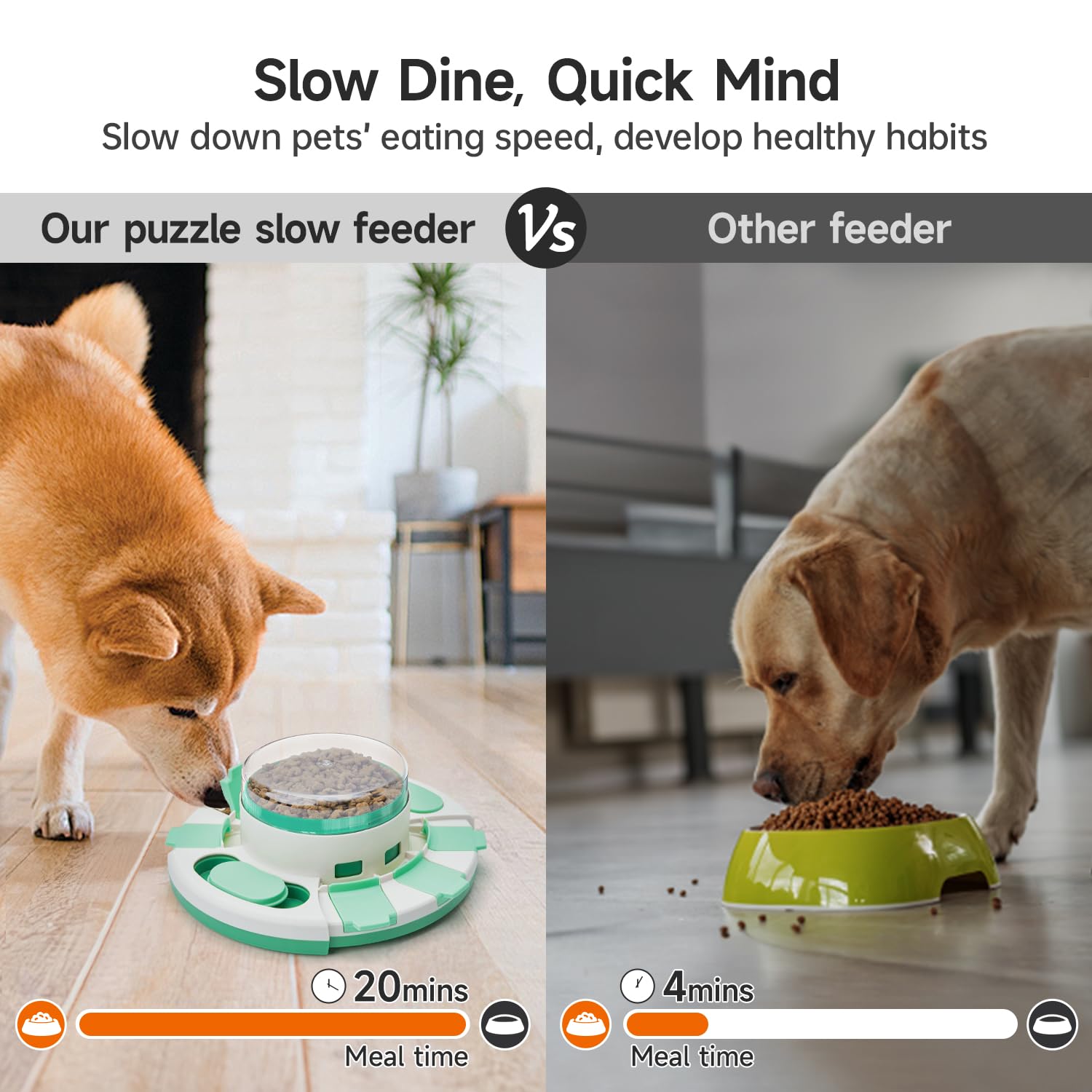 Chien utilisant Potaroma pour stimuler son esprit et ralentir l'alimentation