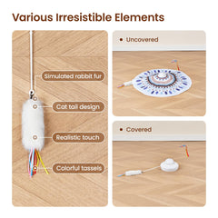 Potaroma gros plan sur plumes naturelles, attraction visuelle et mouvement