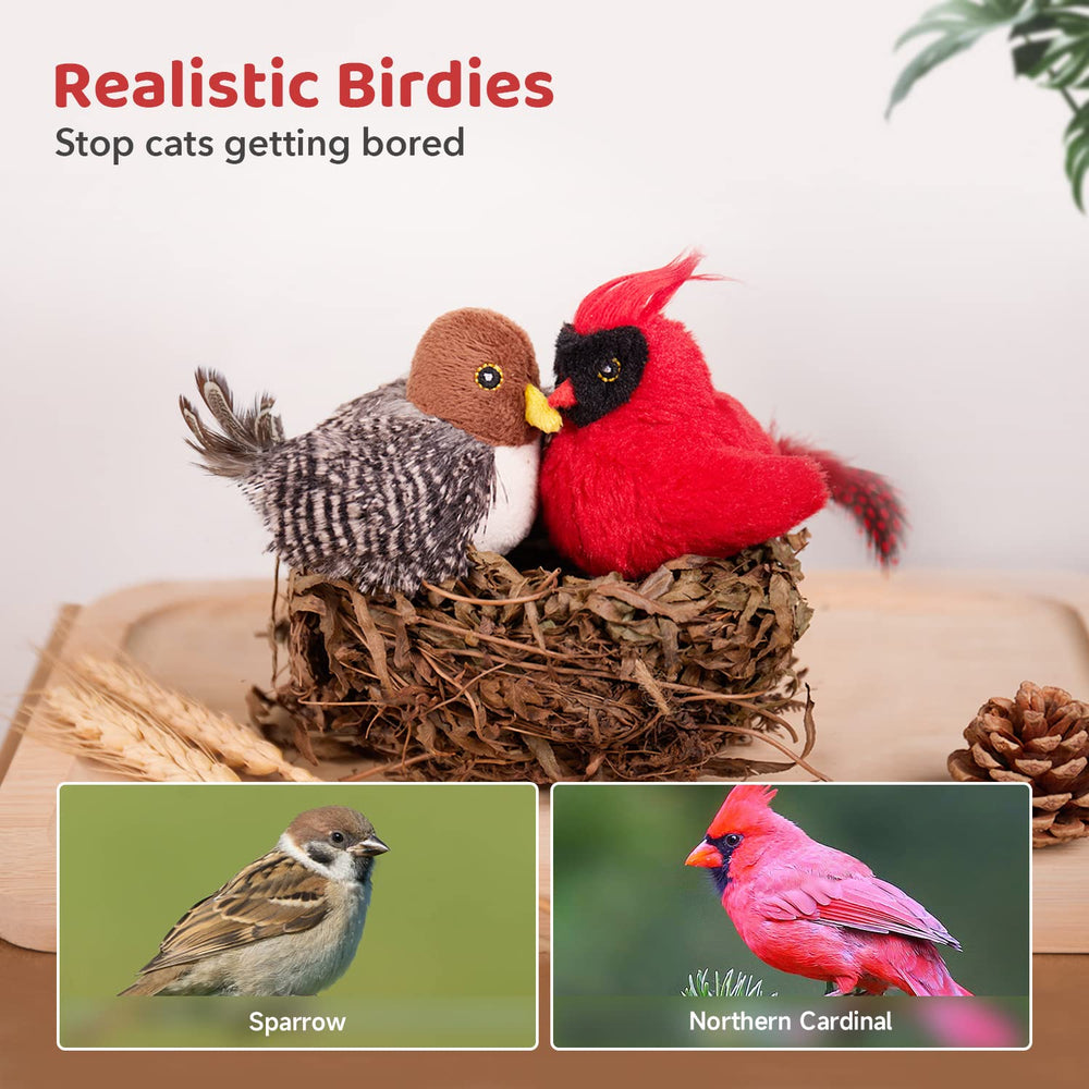 Potaroma oiseau en jeu avec chat stimulant l'exercice et la chasse