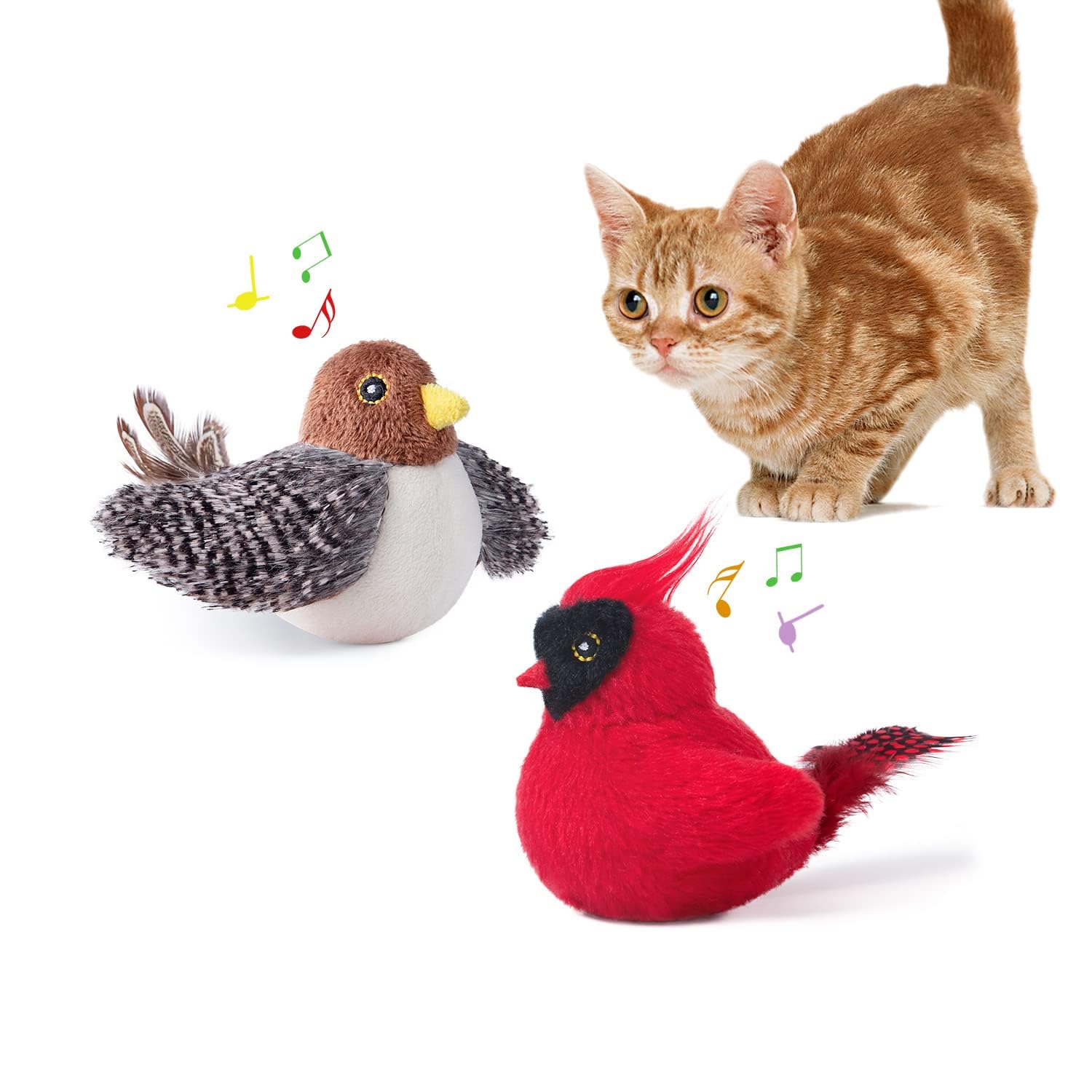 Potaroma jouet oiseau face packaging montrant le design attractif